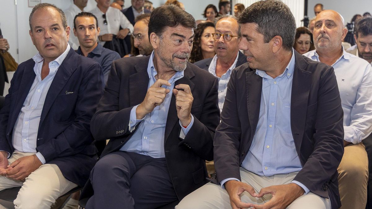 VicentMauri's tweet card. El Consell presidit per Carlos Mazón ha consolidat un model de govern que actua com a corretja de transmissió dels interessos d’una minoria privilegiada . Lluny de vetlar pel benestar comú, el seu...