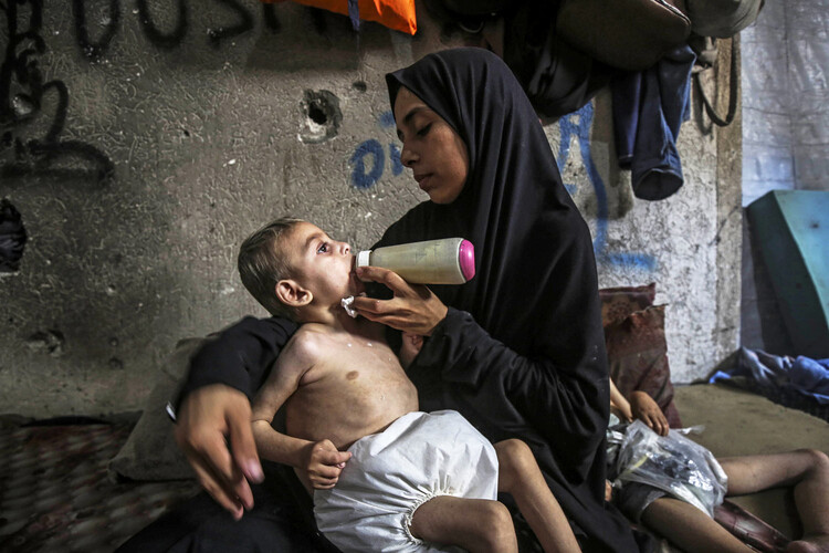 Azmarjo1's tweet card. The latest aid deliveries were a "drop in the ocean" for the besieged enclave suffering mounting starvation under Israel's military campaign, the United Nations' aid chief warned Monday.