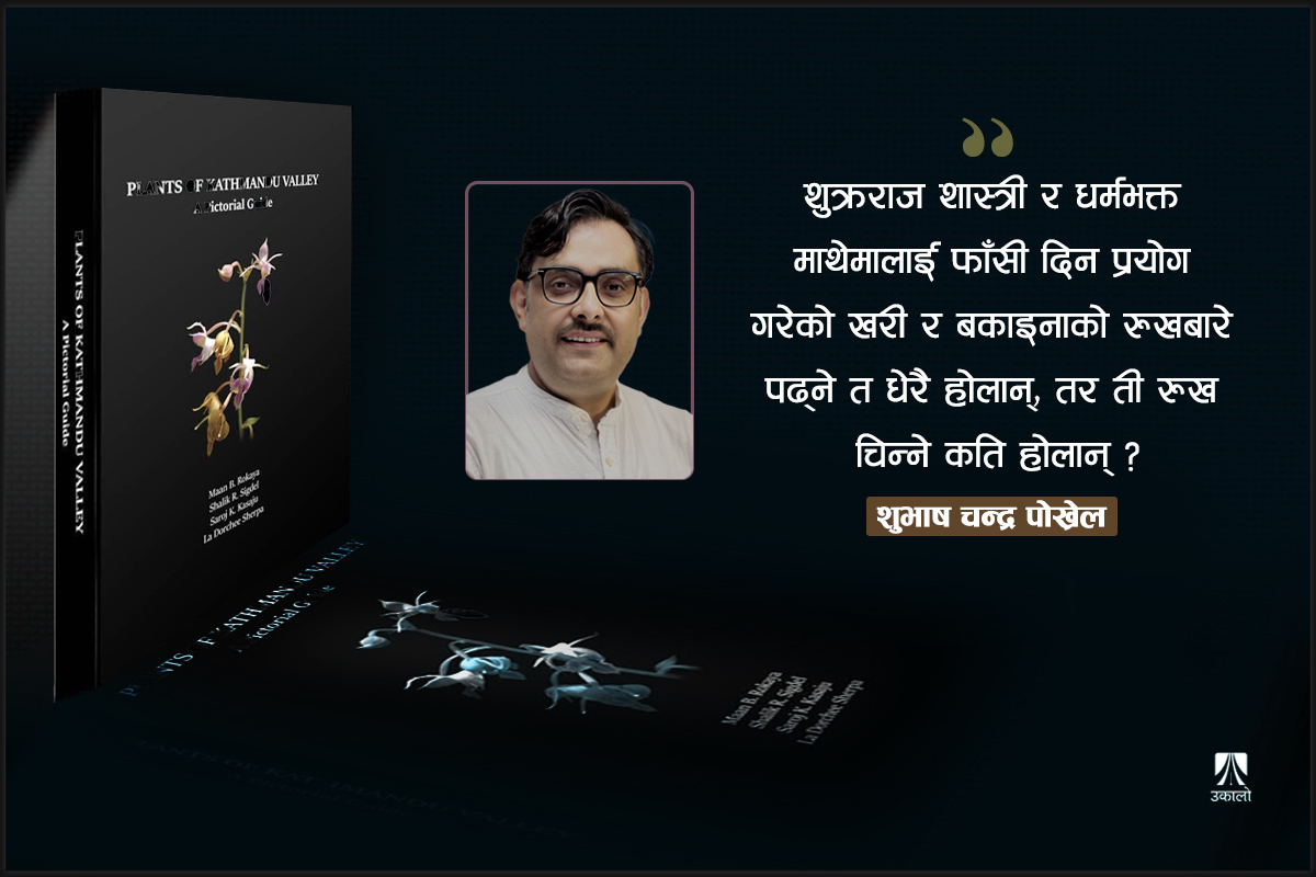 sigdelshalik's tweet card. शहरमा हुर्केको एउटा युवाले पिँडालु र गाभा खान्थ्यो, तर बाआमाले आफ्नै करेसाबारीमा पिँडालु रोपेपछि मात्र यी दुई एउटै वनस्पतिका जमिनमुनि र जमिनमाथिका हिस्सा हुन् भनेर जान्न पायो। 