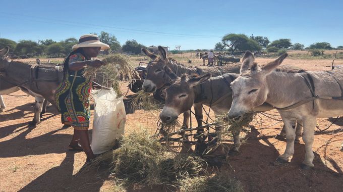 TheBMetro's tweet card. Mthabisi Tshuma, Zimpapers Reporter DONKEYS in Gwanda district are about to get the VIP treatment, thanks to a life-changing initiative that will see three mobile donkey clinics rolled out in…