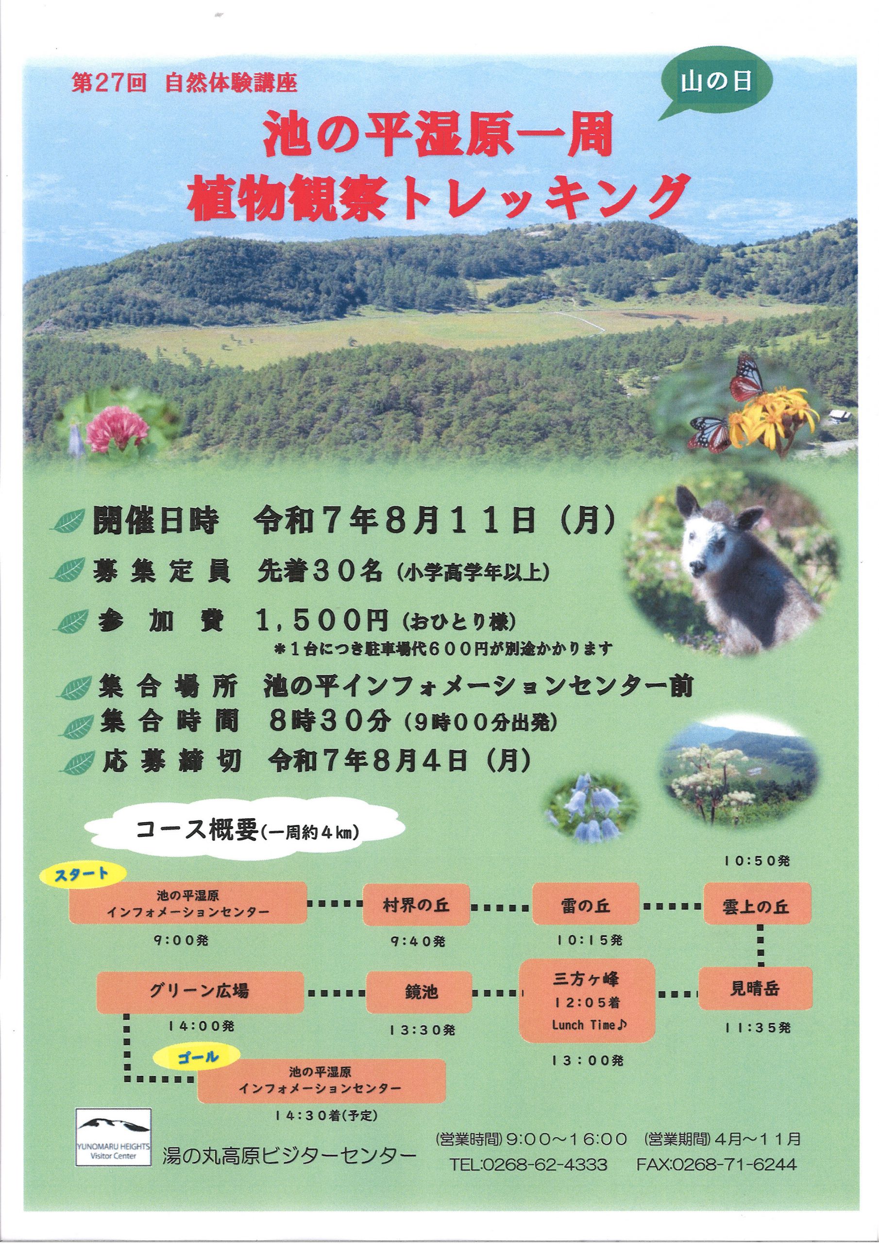 info_yunomaru's tweet card. 第２７回自然体験講座「池の平湿原一周植物観察トレッキング」ツアー参加者募集中です！池の平湿原は高山植物の宝庫。かわいらしい花を観察しながら歩きます。   【見どころ】 ●8月の池の平湿原では、グリーンシーズンで […]