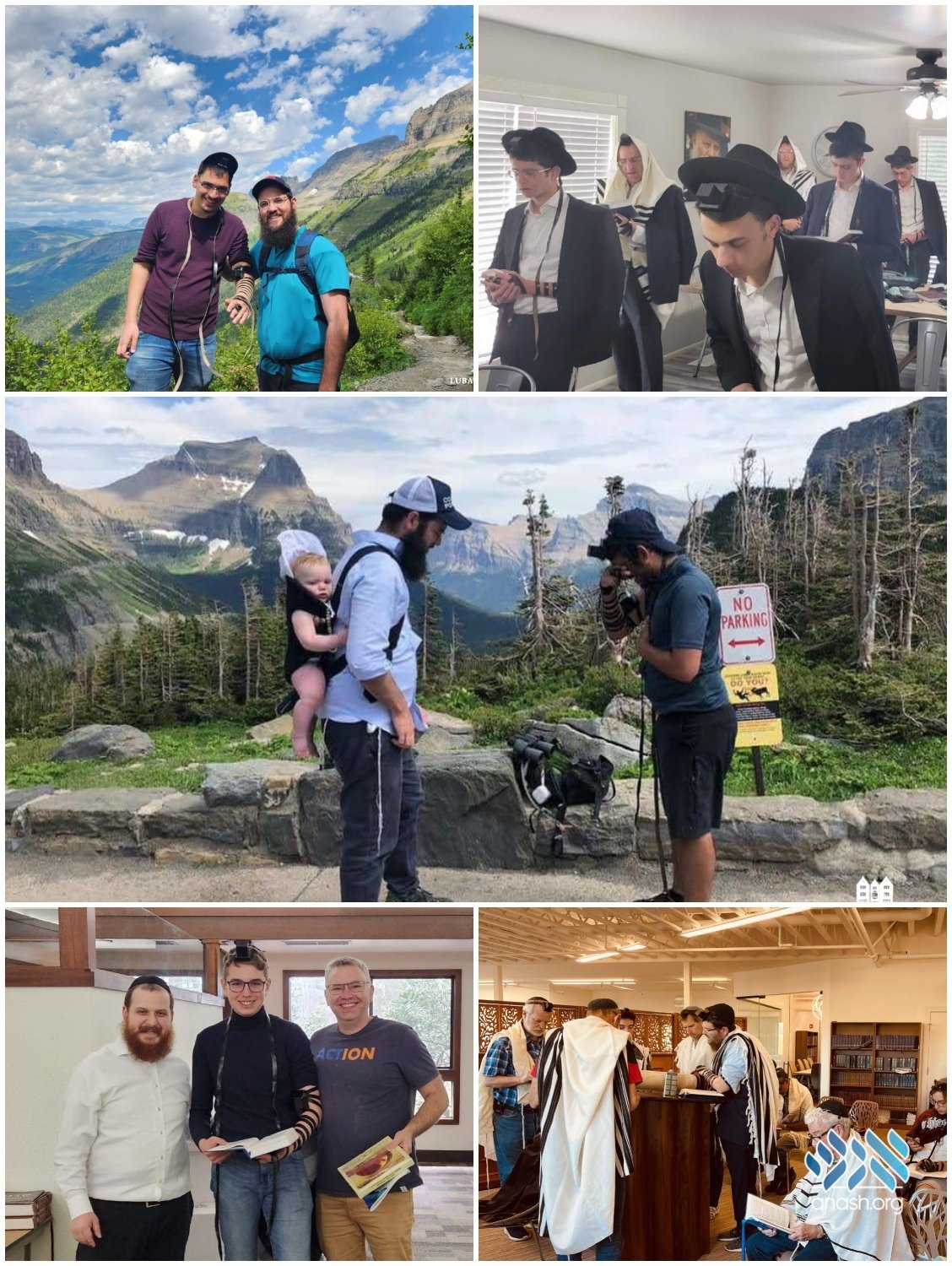 AnashOrgNews's tweet card. With the summer tourism season in full swing, millions of people are taking advantage of America’s vast natural beauty by visiting its dozens of national parks. For Jewish visitors seeking kosher...