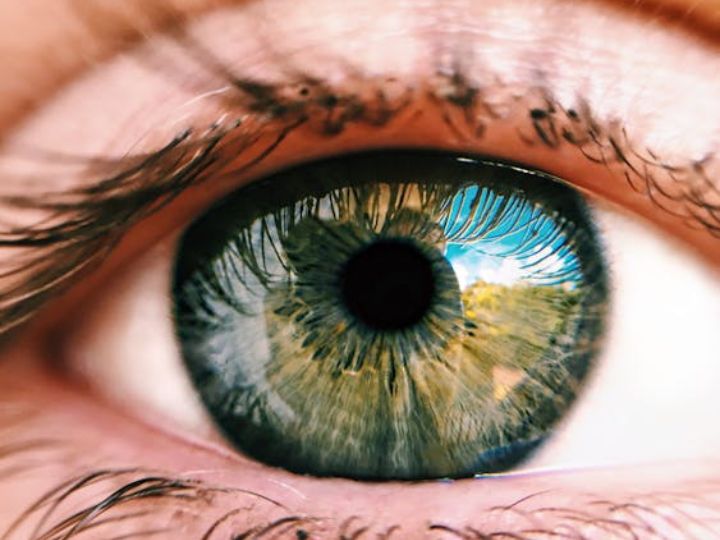 UH_News's tweet card. With a @NIH grant for $2.2 million, a @UHouston optometrist is developing a treatment for corneal scarring which can cause permanent vision loss.