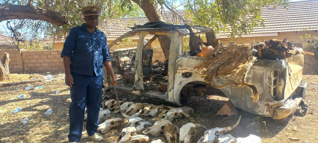 TheBMetro's tweet card. Thupeyo Muleya A NOTORIOUS cattle rustling syndicate that has been terrorising Beitbridge farmers for over a year has finally been smashed. A total of 12 suspects, including meat vendors and…