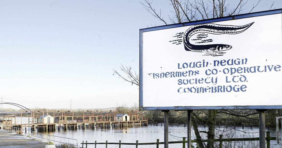 ConnlaYoung's tweet card. Industry ‘casualty of significant environmental change within the lough’
