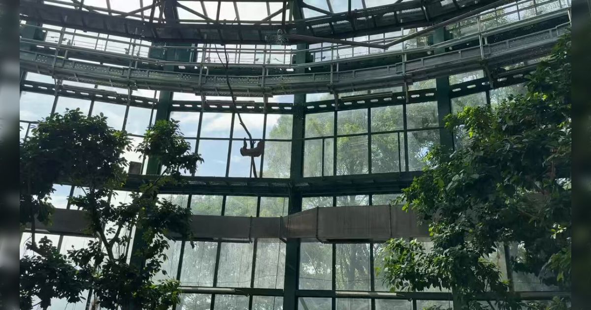 abogard_ausfB's tweet card. てかリニューアルした千葉市動物公園の動物科学館ヤバない？ え、いやこれもっと話題になってないとおかしくない？ 単に俺が情報に疎いだけなのかもしれんけど、動物園に新しく博物館が併設したくらいの衝撃やぞ。動物園とはなんぞやに「これが動物園や」って答えてんねんぞ？ ヤバない？ 行ってね。