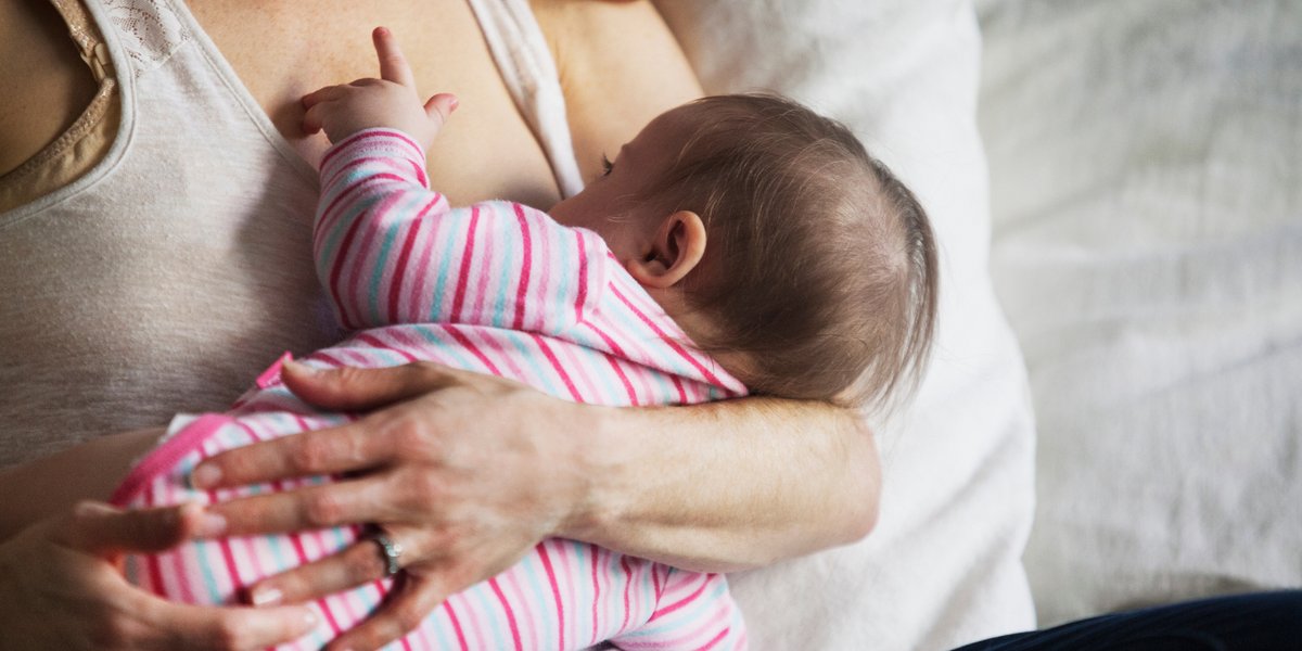 thecarnivorebar's tweet card. BIOMILQ was supposed to be a "breakthrough." The biotech startup—backed by a reported $3.5 million investment from none other than Bill Gates—promised to revolutionize infant nutrition by replacing...
