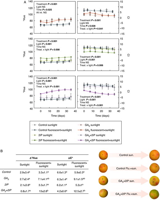 annbot's tweet card. AbstractBackground and Aims. The ripening process, characterized by chlorophyll degradation and carotenoid accumulation, culminates in senescence, affectin