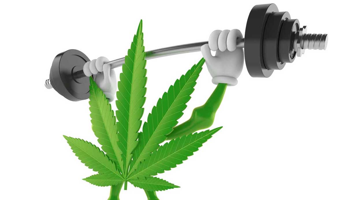 ArkTimes's tweet card. But both high-level athletes and Regular Joes use cannabis for increasing focus, decreasing pain sensitivity, improving recovery, soothing inflammation and tamping down anxiety and insomnia. 