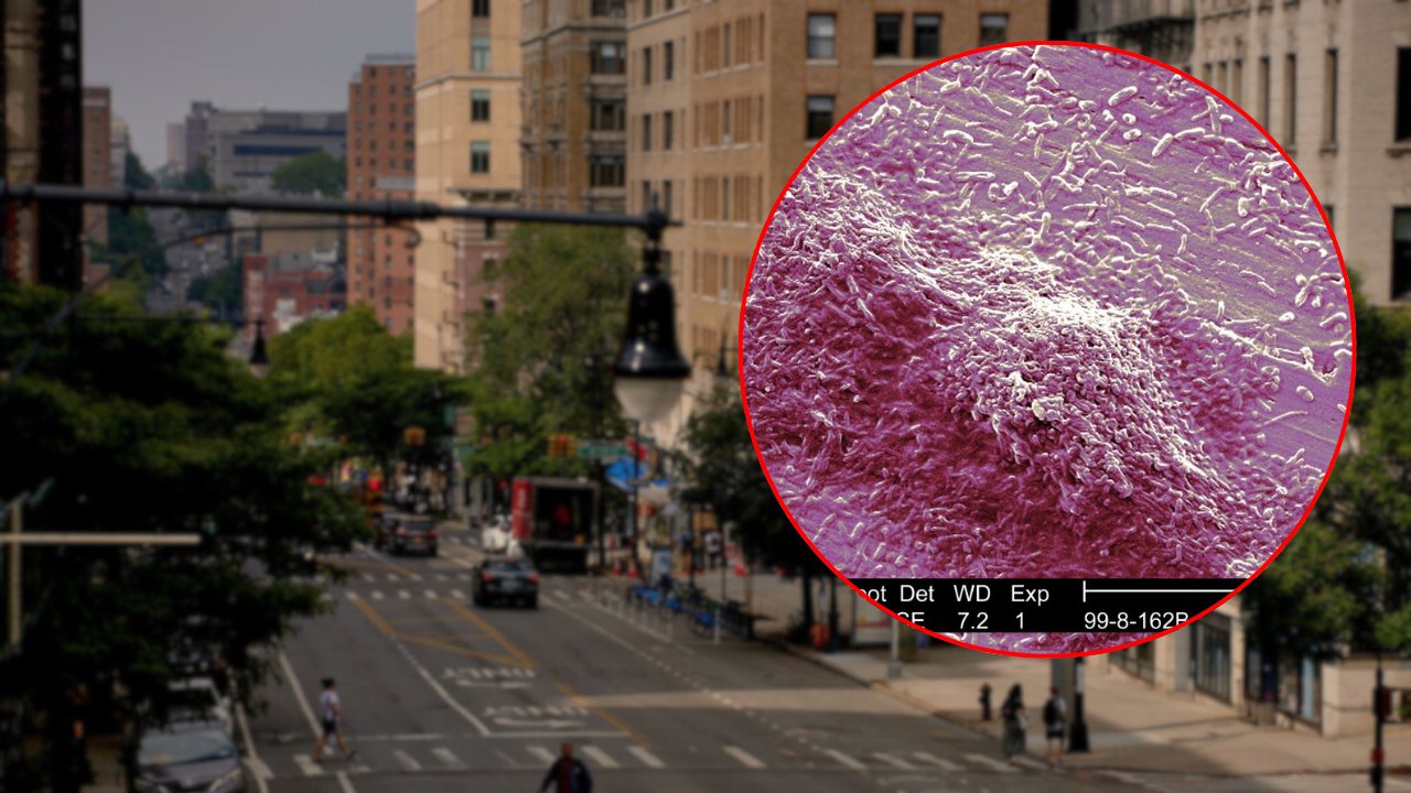 fox5ny's tweet card. Five cases of Legionnaires' disease have been confirmed in Central Harlem, prompting a health department investigation.