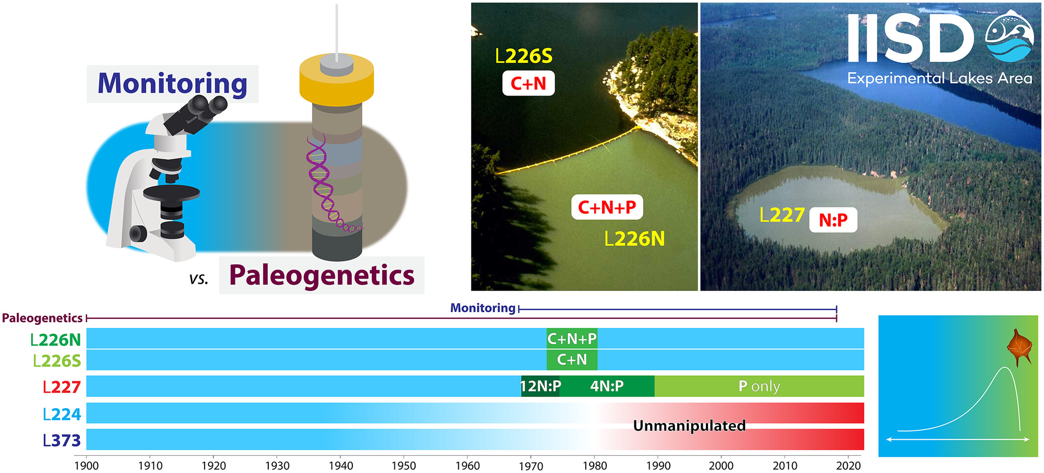 jcamthrash's tweet card. Algal community dynamics recorded by traditional monitoring and paleogenetic analysis of sediment DNA archives of experimentally fertilised and unmanipulated lakes in the IISD Experimental Lakes...