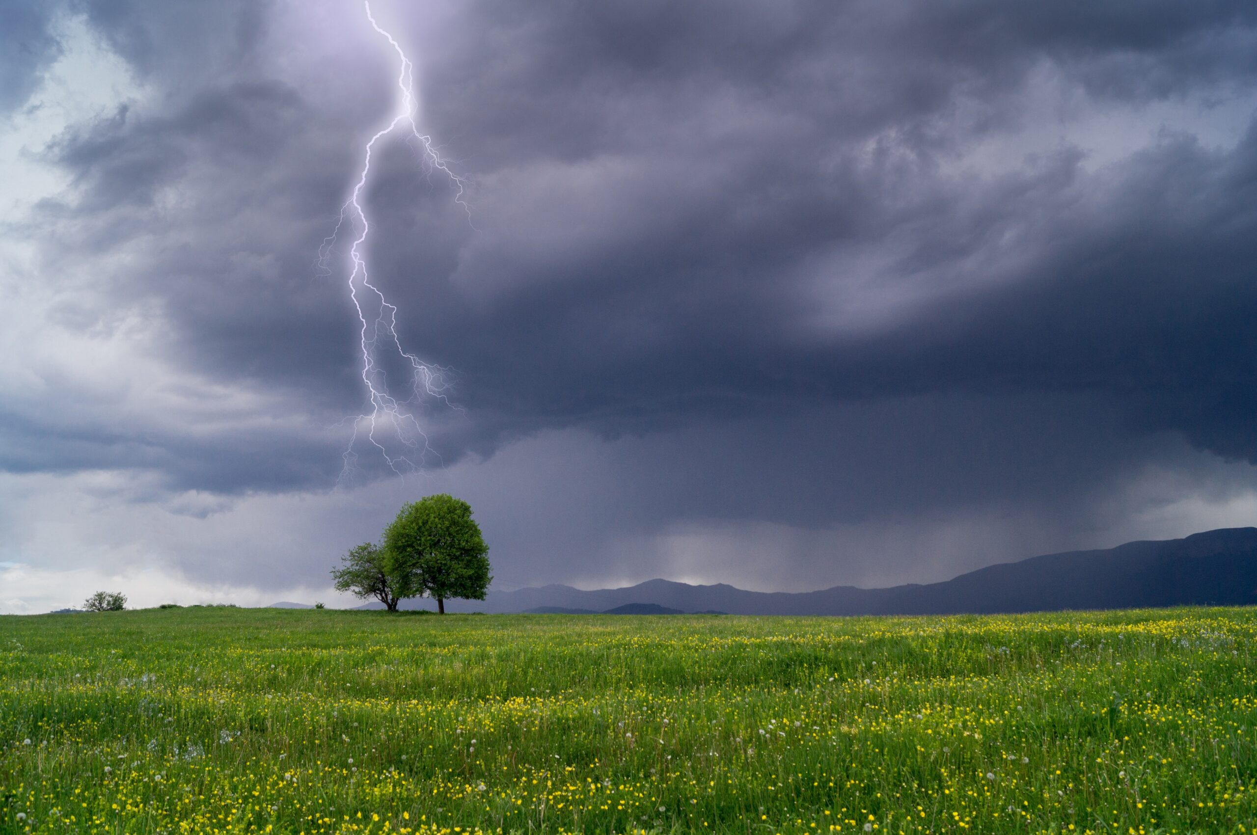 PPLElectric's tweet card. Prepare for severe summer storms and prevent power outage dangers with our essential safety checklist. Protect your family before and during extreme weather with these proven tips.