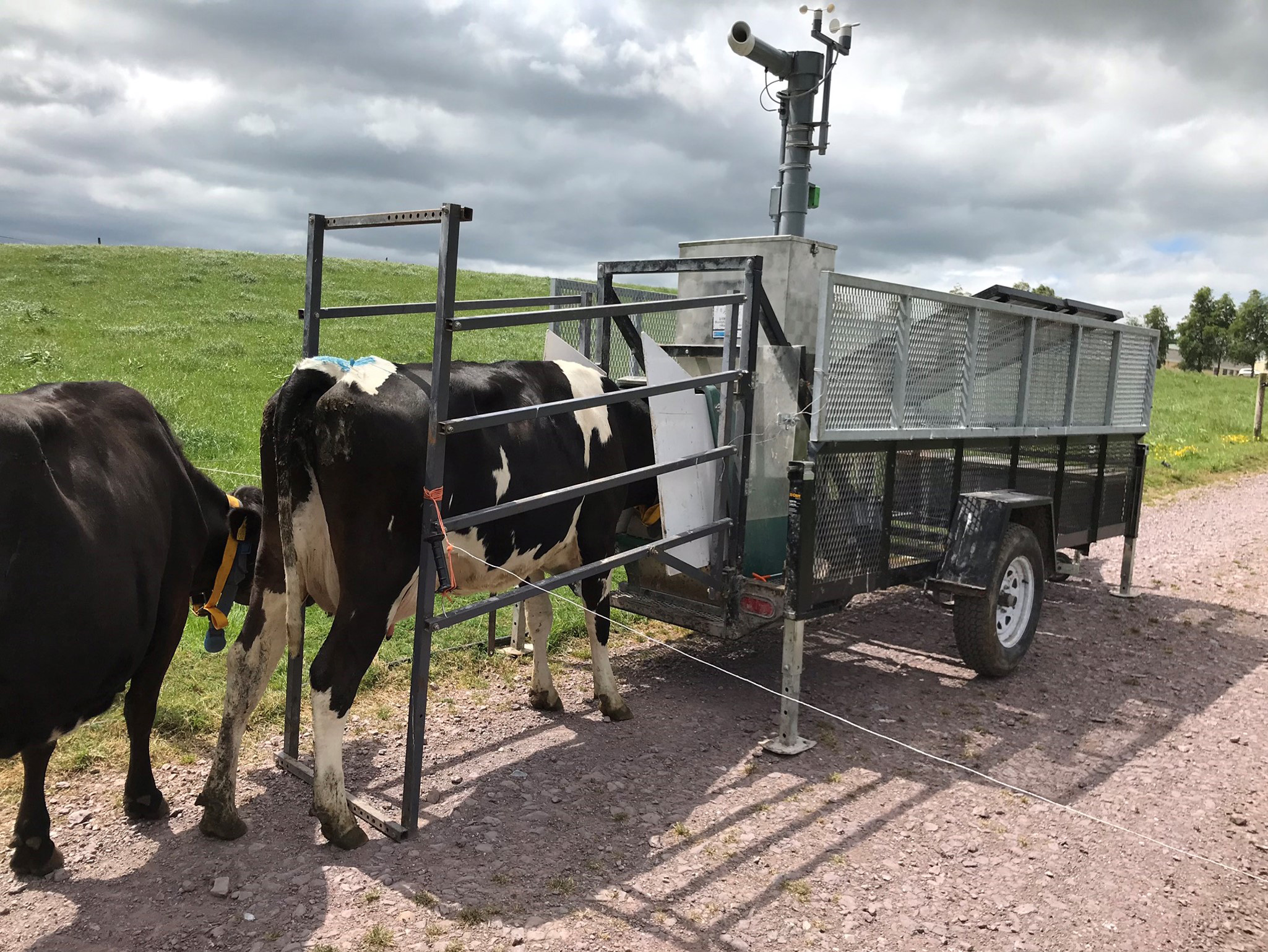 AgrilandIreland's tweet card. The board of Dairy Research Ireland (DRI) has today (Monday, July 28) announced the appointment of Mary Delaney as its new chair.