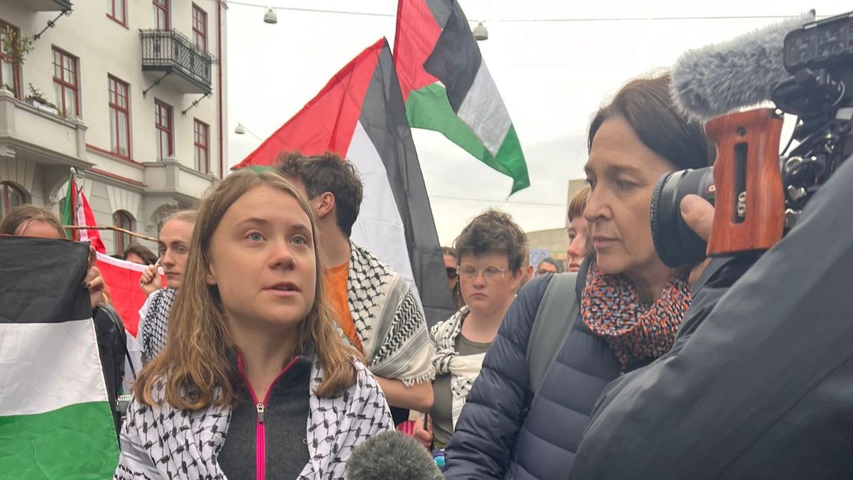fpedrosa2's tweet card. El rechazo a Israel ya no se limita al mundo musulmán o a la derecha xenófoba. Hoy es parte de una ofensiva impulsada por sectores académicos, progresistas y populistas que ven en el Estado judío la...