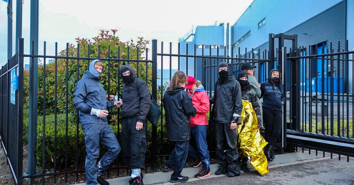 LTONederland's tweet card. Dreigteksten in je brievenbus, vrachtwagens die in de brand worden gestoken en nu de bezetting van drie slachterijen in Apeldoorn. Neemt de radicalisering onder dierenactivisten wederom toe? „Het...