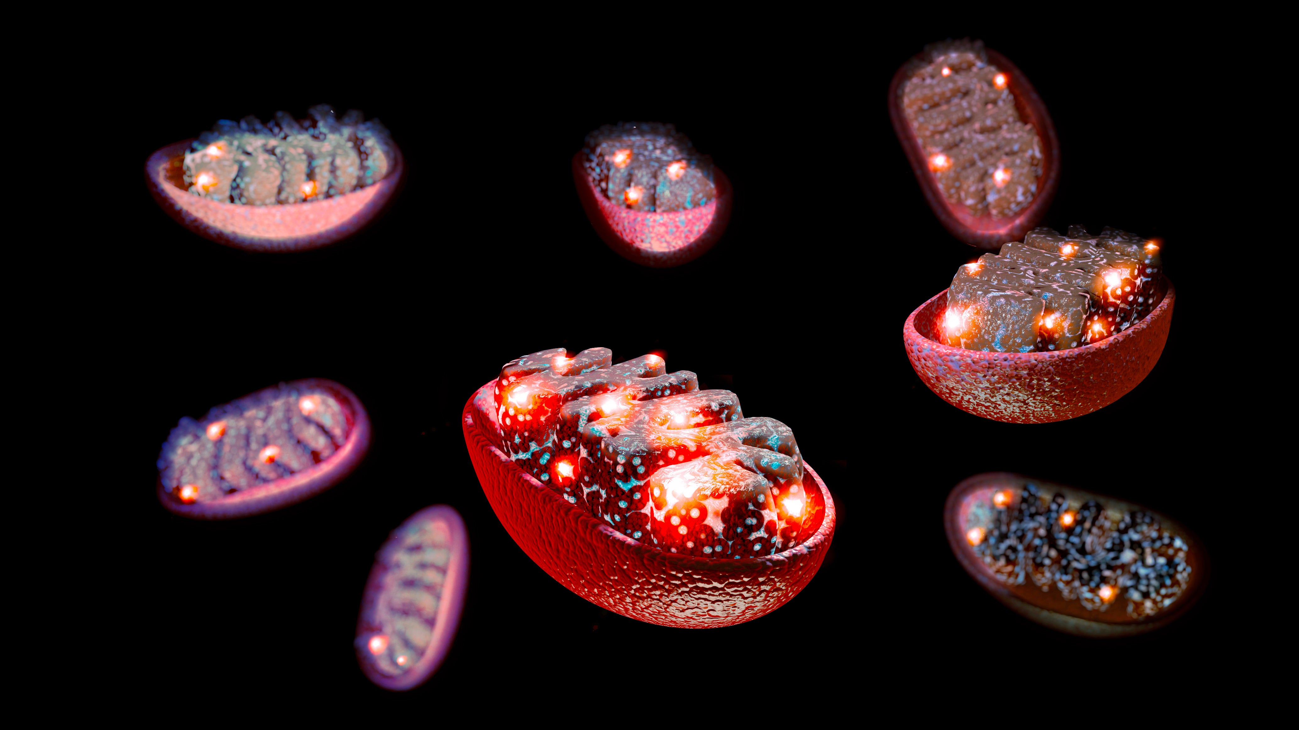 UCRCNAS's tweet card. Stressed DNA sets off a cascade of failures in the body linked to heart conditions, neurodegeneration, and chronic inflammation. A new, UCR-designed tool interrupts this process, preserving DNA...