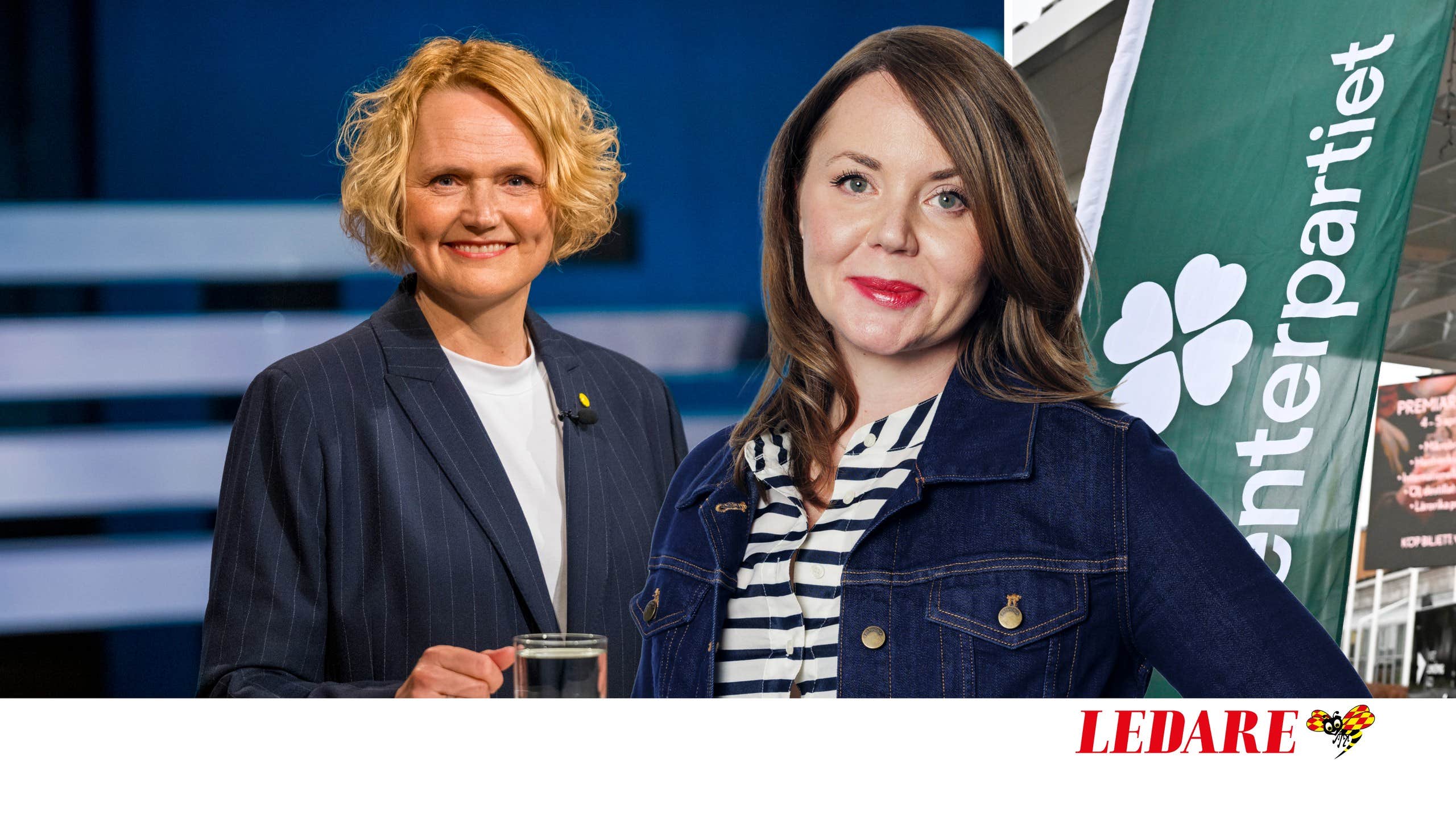 ceciliaronn's tweet card. Anna-Karin Hatt skryter om sin bakgrund i näringslivet. Det är falsk marknadsföring.