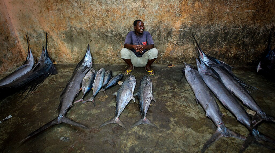 SeaAroundUs's tweet card. A new study estimates how much nutrition Indian Ocean fisheries provide and examines how these benefits align with conservation priorities.