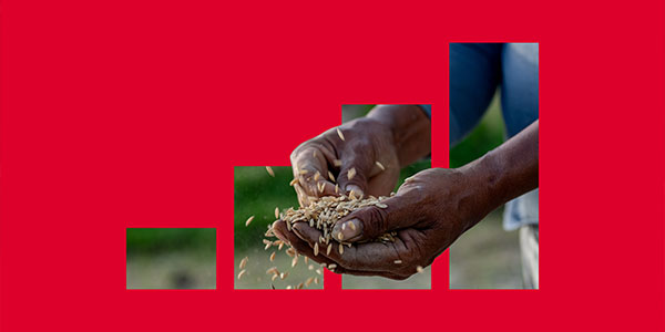 DimitraSpanish's tweet card. This report explores six use cases for blockchain in agriculture in low- and middle-income countries with a special focus on Kenya.