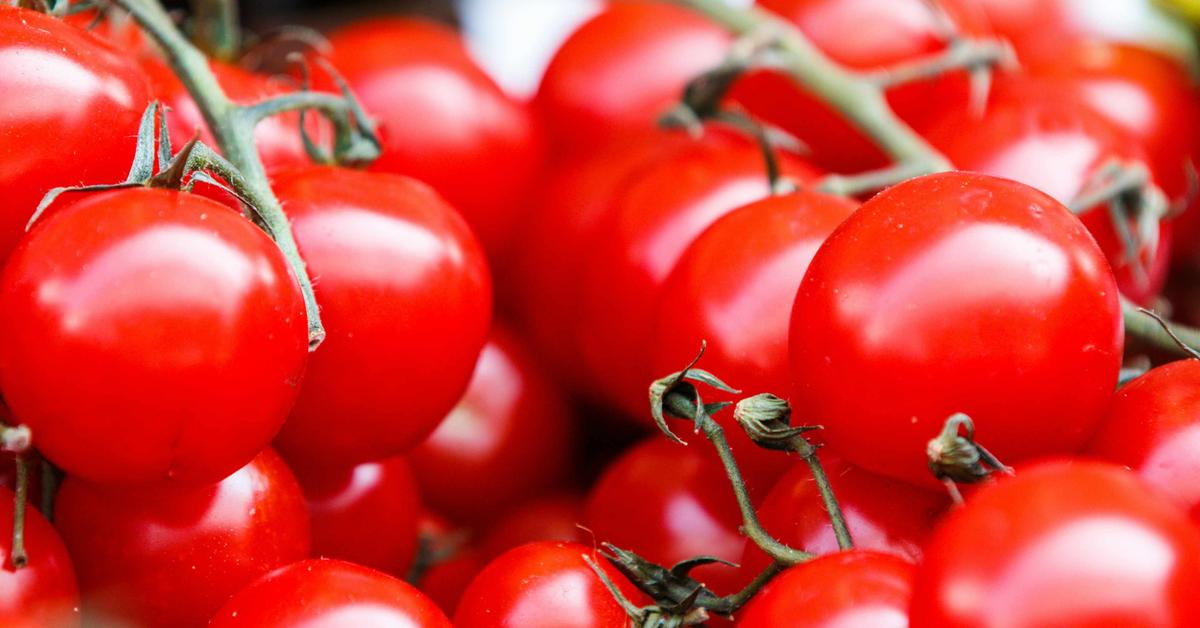 GreenMatters's tweet card. If you frequently purchase tomatoes at the grocery store — or if you own a restaurant and use tomatoes often — you will see price increases.