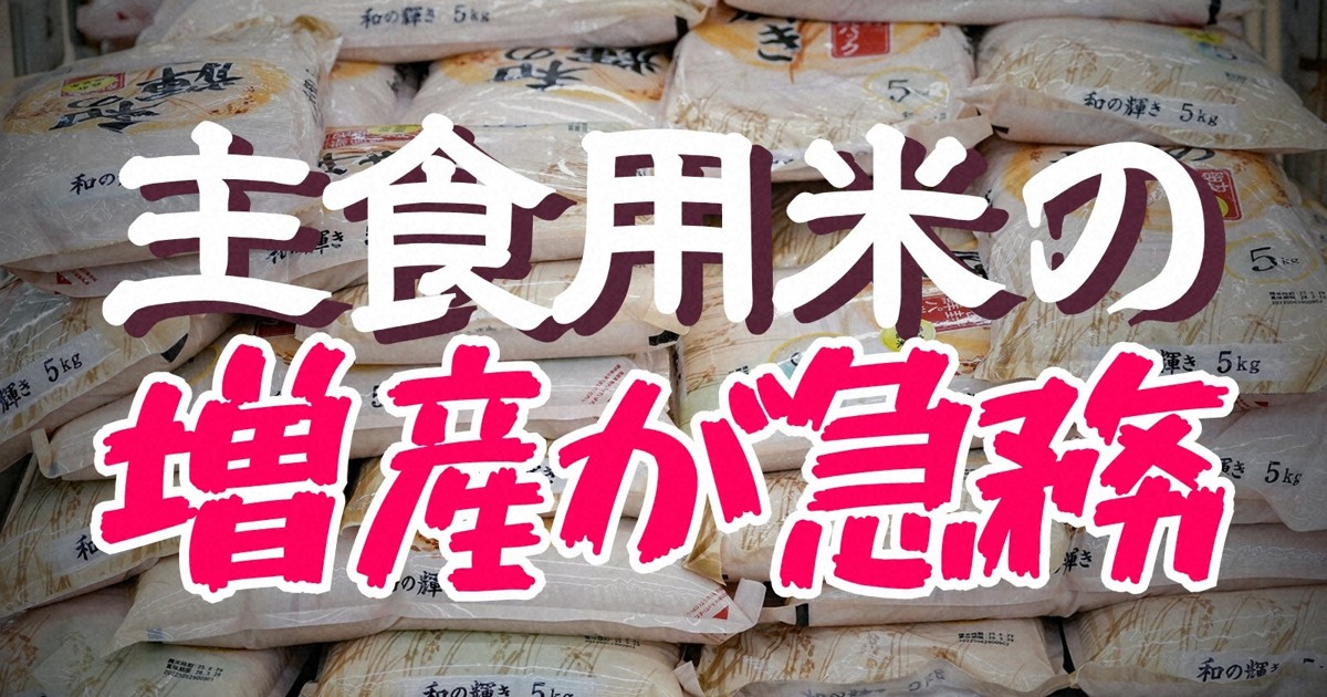oricquen's tweet card. 　現在の転作による生産調整政策からの大胆な転換が求められている。 　「令和のコメ騒動」に関する報道を通じて、マスメディアやSNSなどに積極的に出演するコメ農家・農業経営者も現れた。彼らの発言を通じて、あらためて農業経営の厳しさにも注目が集まった。こうした報道や国民の意識変化をうけて、多くの政党が、参