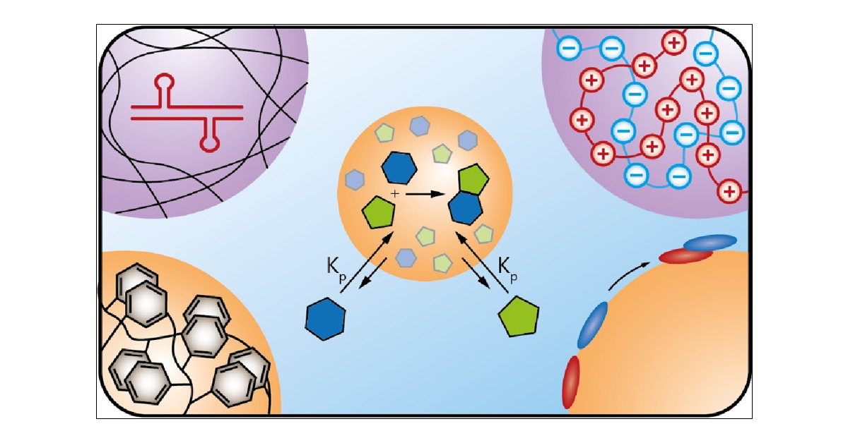 SpruijtLab's tweet card. ConspectusCoacervates are droplets formed by liquid–liquid phase separation (LLPS) and are often used as model protocells–primitive cell-like compartments that could have aided the emergence of life....
