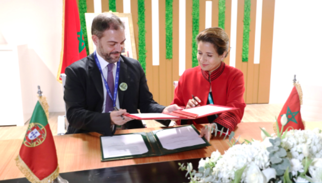 barlamanefr's tweet card. Le gouvernement portugais étudiera prochainement la faisabilité d’une liaison électrique entre le Portugal et le Maroc, a annoncé Maria da Graça Carvalho, ministre de l’environnement et de l’énergie,...