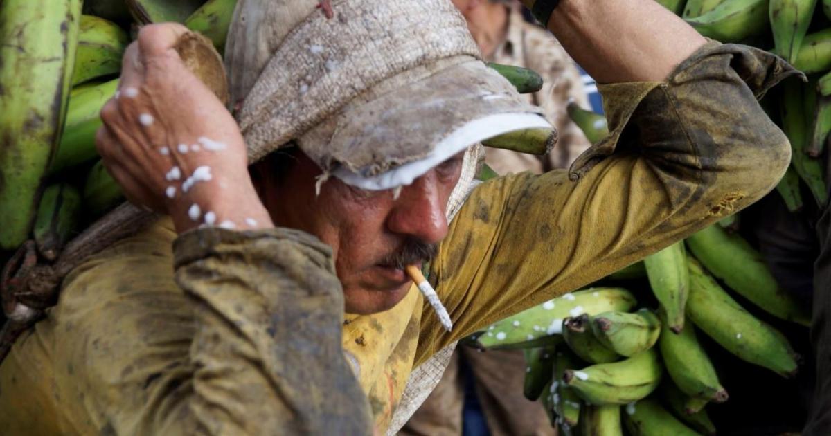 OIM_Mexico's tweet card. Tráfico de migrantes, trata de personas e incluso trata de blancas: a menudo escuchamos estas expresiones siendo utilizadas como sinónimos, cuando en realidad
