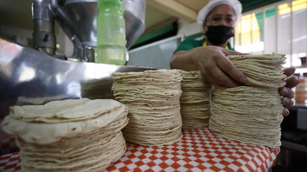 CANAL44TV's tweet card. El Gobierno de México arrancó la convocatoria para que tortillerías de todo el país se adhieran al ‘Acuerdo Nacional Maíz-Tortilla’ que tiene como meta lograr una reducción de al menos 5 % en el...