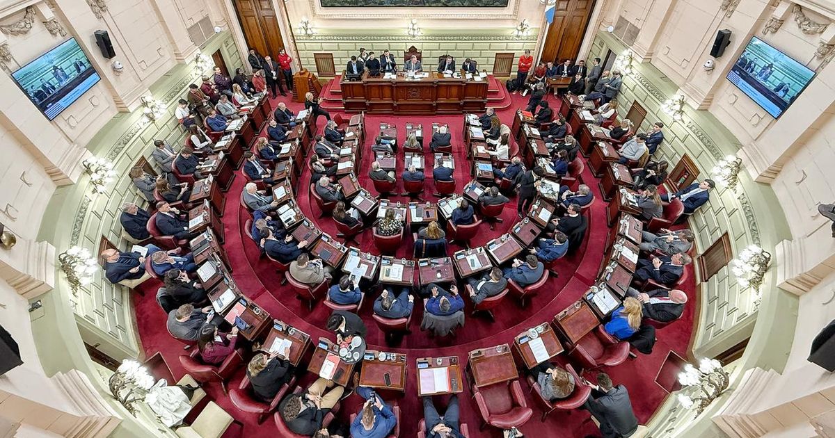 Letra_P's tweet card. La Corte, la fiscal general y la titular de la Defensa Pública provinciales debatieron sobre un tema picante. Conmoción por la muerte de Locomotora Oliveras.