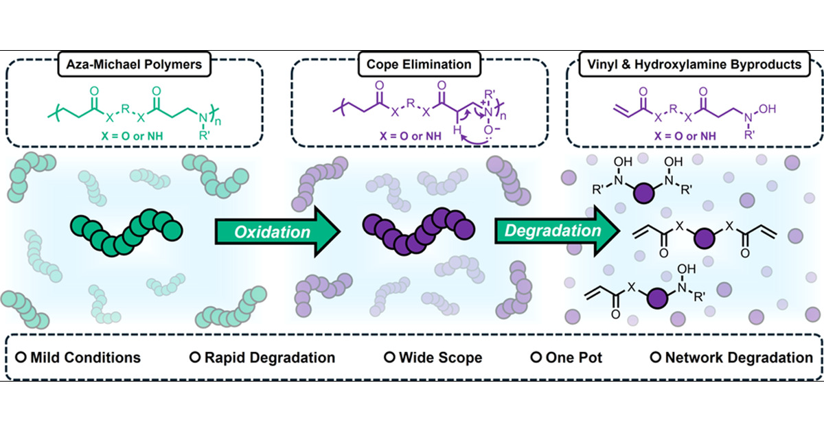 KA_Stew's tweet card. We report on a mild and efficient method to degrade poly(β-amino esters) (PBAEs) and poly(amido amines) (PAMAMs) via Cope elimination. Oxidation of backbone tertiary amines to N-oxides allowed for...