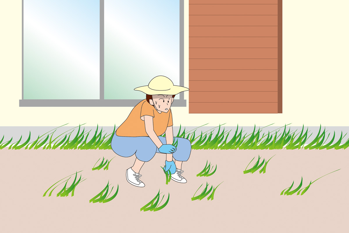 LASISA_jp's tweet card. 夏は掃除がキツい！ 暑いし蒸し蒸しするし。なかでも特につらい場所は？ アンケ0と調査の結果から探ります。