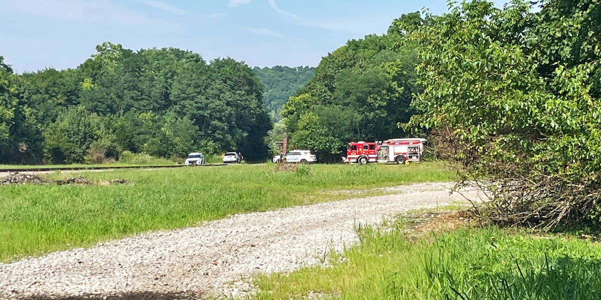 FOX19's tweet card. Multiple units are at the scene near Fredericks Landing in Wilder.