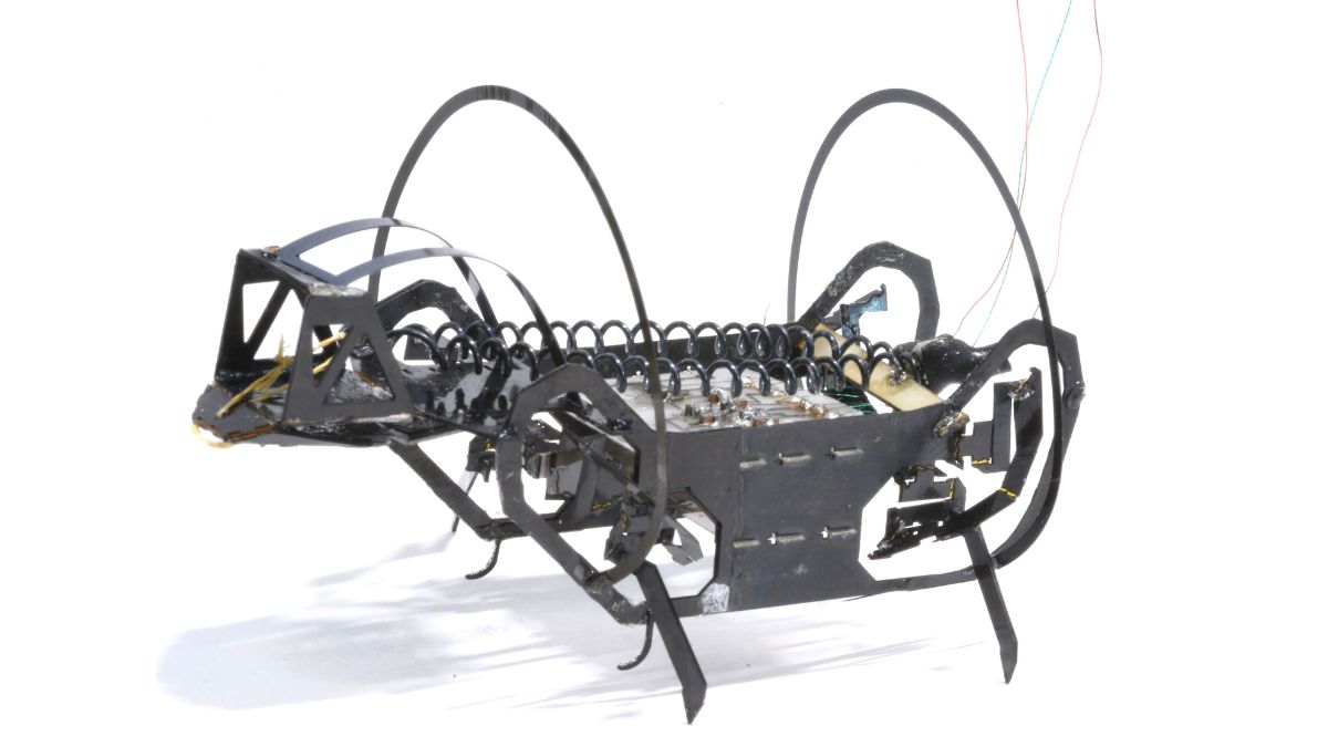 CosmosMagazine's tweet card. Taking inspiration from nature, engineers have created a palm-sized robot that can walk, climb, strike, scoop up objects, and even jump like a bug.