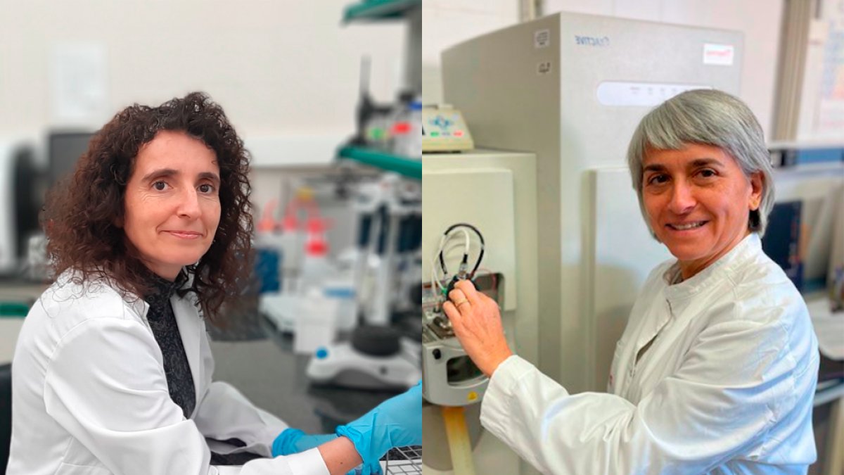 NuMeH_Group's tweet card. Mònica Bulló i Rosa Maria Marcé se encuentran en este ranking que quiere dar visibilidad al trabajo de todas las profesionales y contribuir en el desarrollo de la ciencia abierta