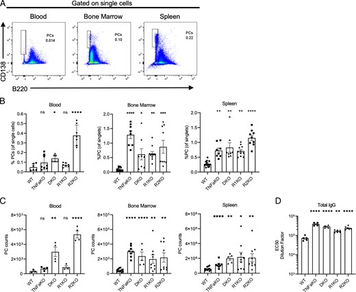 FooksmanLab's tweet card. Key Points. TNF-α depletes Ag-specific BM PCs and shortens serological memory.TNF-αR1 in radiation-resistant cells is required to mobilize BM PCs.