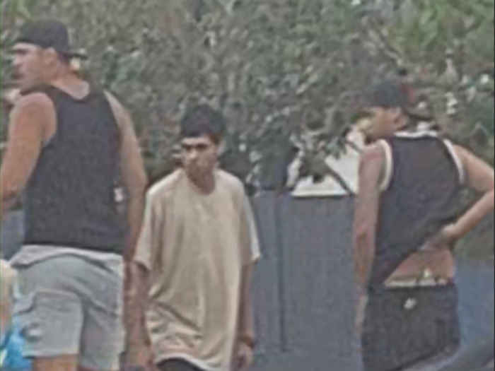 DailyTelegraph5's tweet card. Hamilton police are seeking the public’s help to identify the people pictured, as they may have information that can assist with an ongoing investigation.