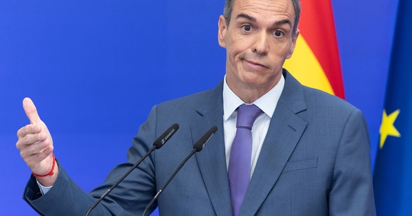 JorgeHerreroxtv's tweet card. La ley de protección del informante también establece la obligatoriedad de que el Gobierno desarrolle esta estrategia con las comunidades autónomas, pero Sánchez ha preferido acudir a la OCDE