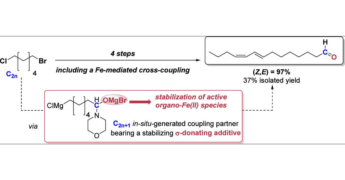 GuillaumeLefvr1's tweet card. We report in this work the optimization of a one-pot, four-step coupling sequence allowing stereoselective formation of alkyl-alkenyl linkages under iron catalysis at a low 0.25% load starting from...