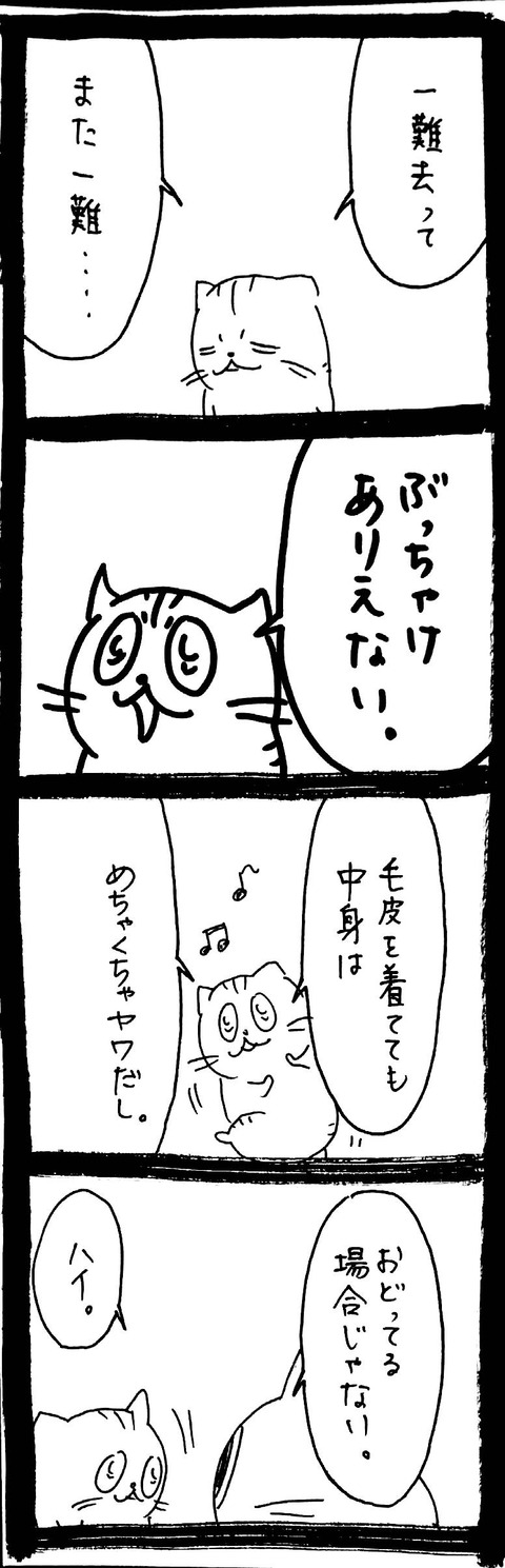 usagitoseino's tweet card. 前回