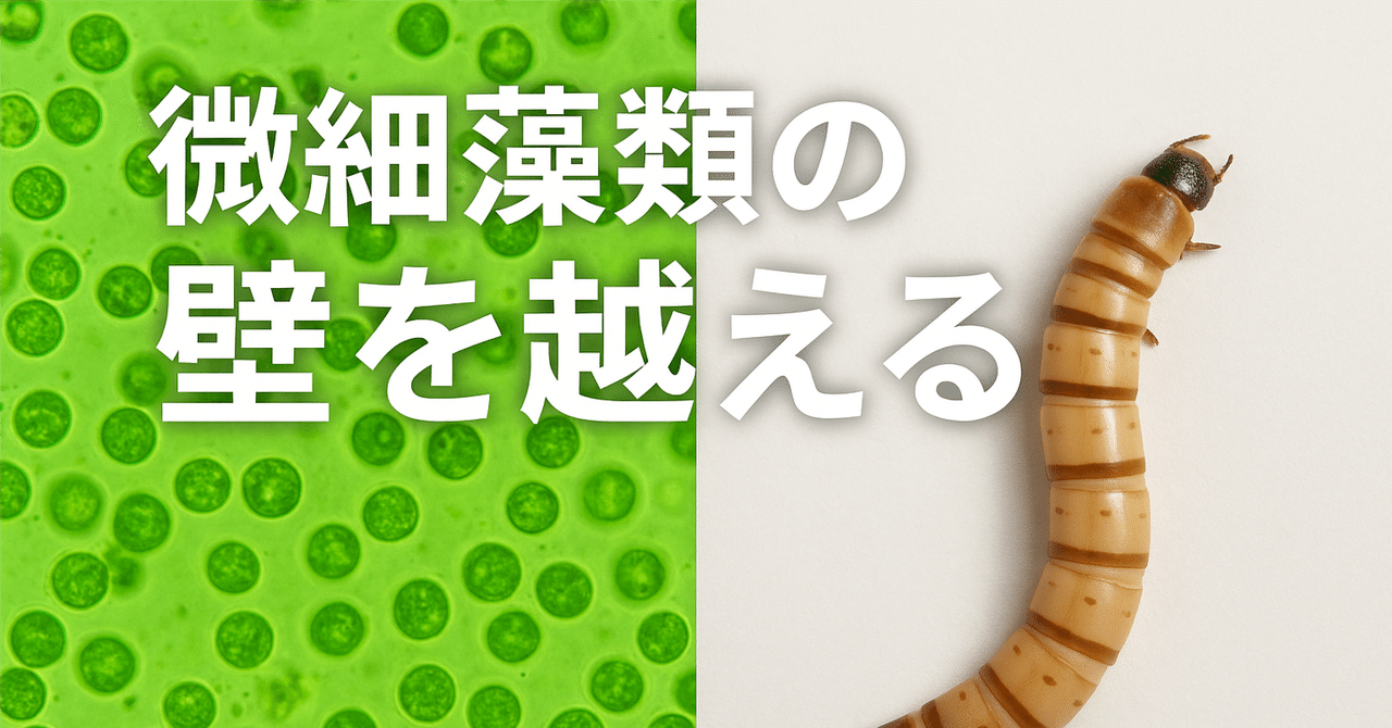 superworm_jp's tweet card. はじめまして、「世界を救うスーパーヒーローになる」株式会社スーパーワームCTOの望月（@__mochizuki）と申します。noteでは2回目の投稿になります。今回もどうぞよろしくお願いいたします。 はじめに ― なぜ今バイオ燃料か？ 「脱炭素社会へ」。そう掲げるのは簡単ですが、実現するのは簡単ではありません。特に、飛行機や船、トラックといった“重い輸送手段”の脱炭素化は、依然として難題です...