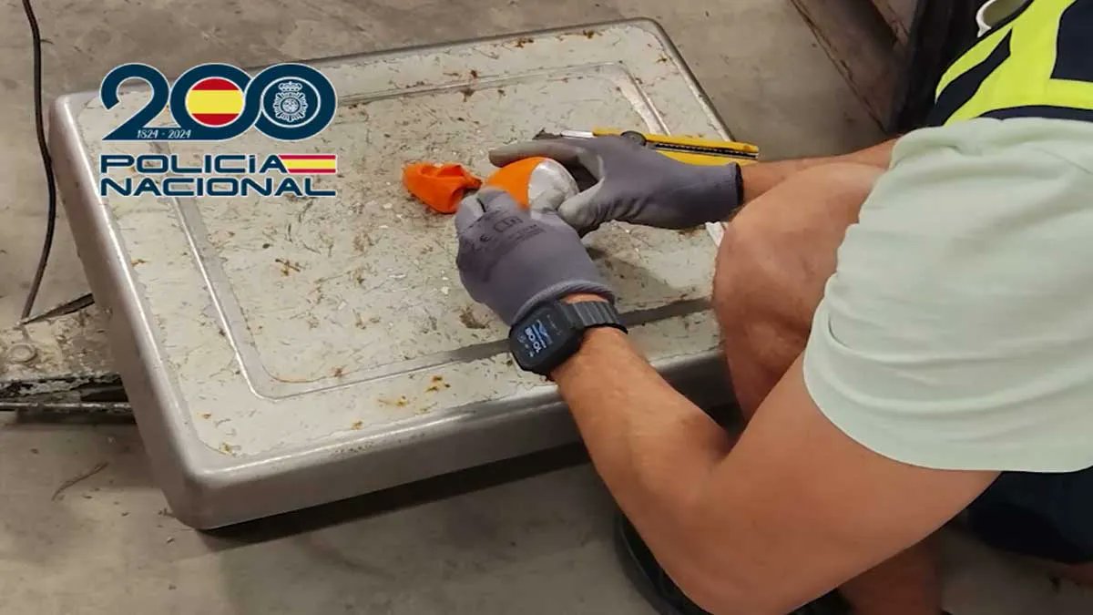 CadizDirecto's tweet card. El pasado 29 de julio de 2025, agentes de la Policía Nacional desarticularon un fuerte entramado de narcotráfico en la provincia de Cádiz, en concreto en la