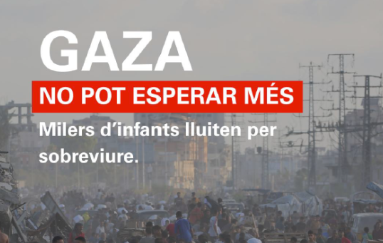 gacdigitaland's tweet card. Davant la gravíssima crisi humanitària que afecta la Franja de Gaza, Unicef Andorra ha posat en marxa una campanya d’emergència