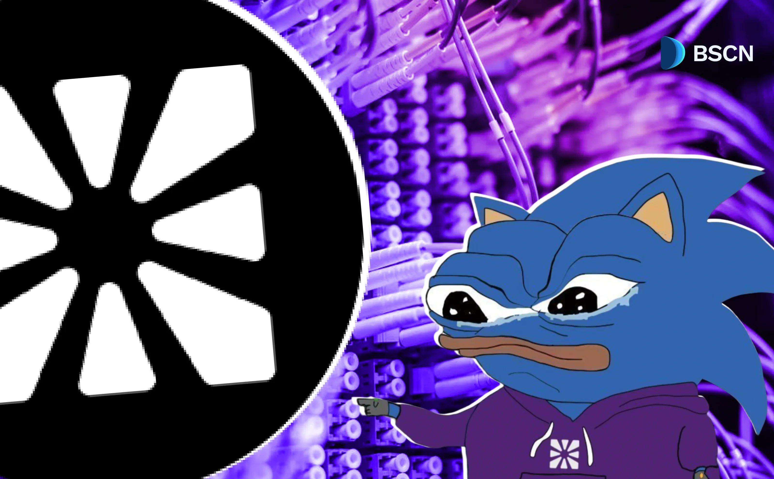 Chainbase $C token featuring a Pepe the Frog meme with a futuristic data center background