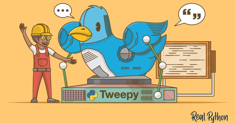 Tweet card summary image