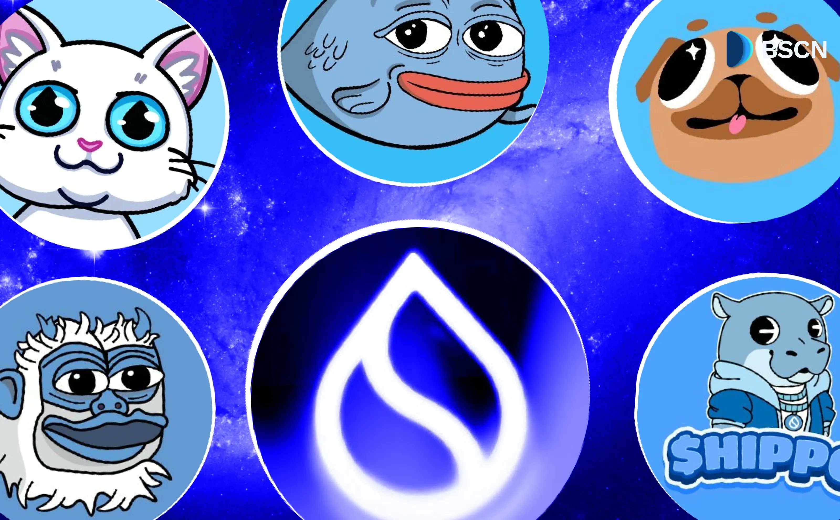 Five Sui memecoin mascots including a cat, fish, hippo, and more with a water droplet logo