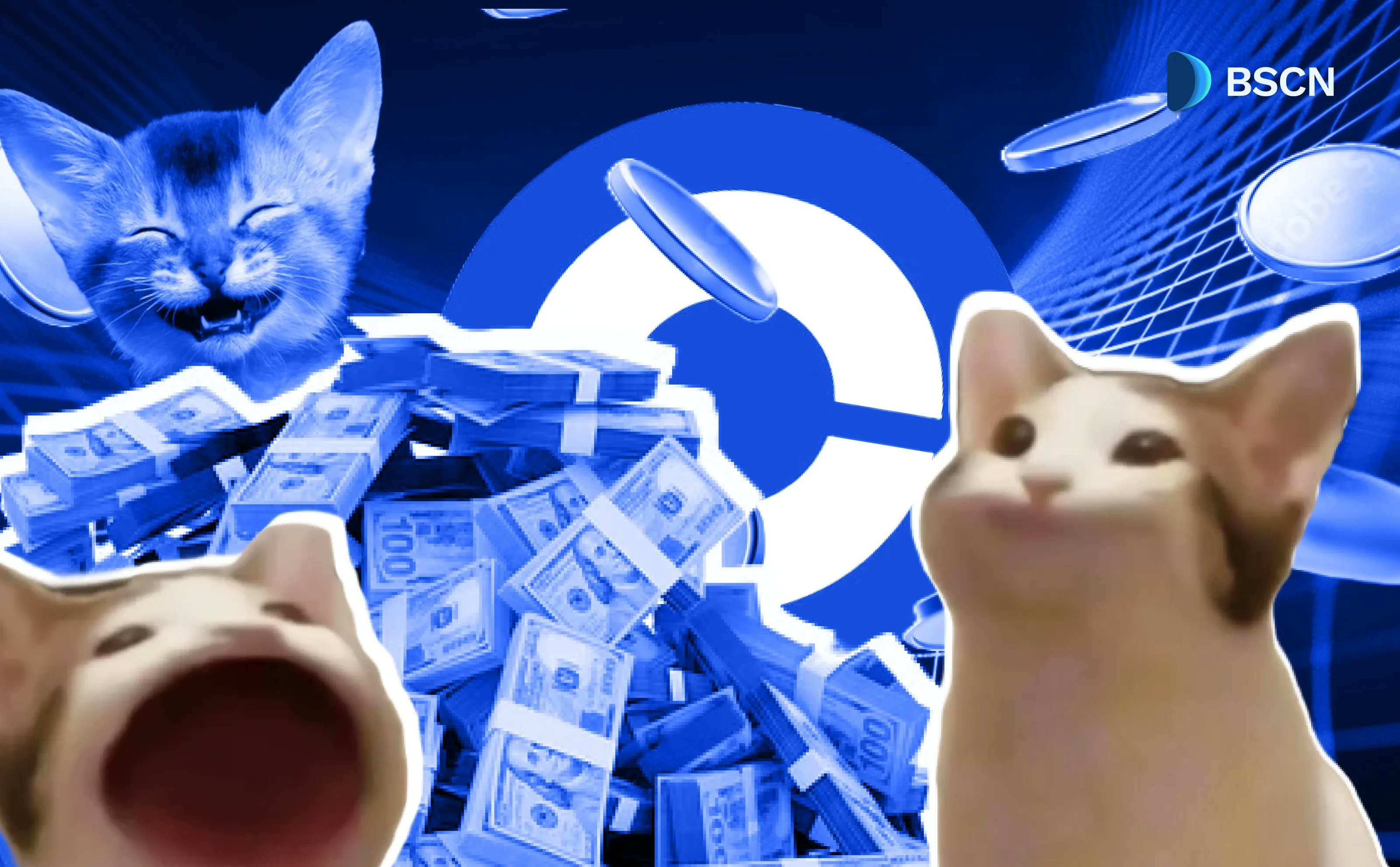 $POPCAT memecoin 展示猫咪和钞票的图片