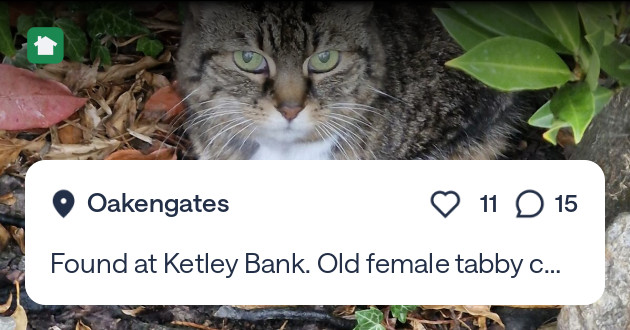 Tweet card summary image