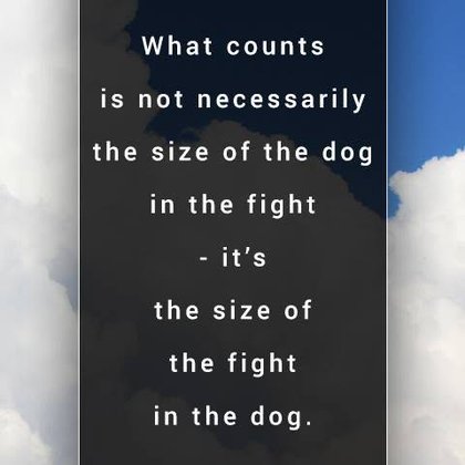 Tweet card summary image