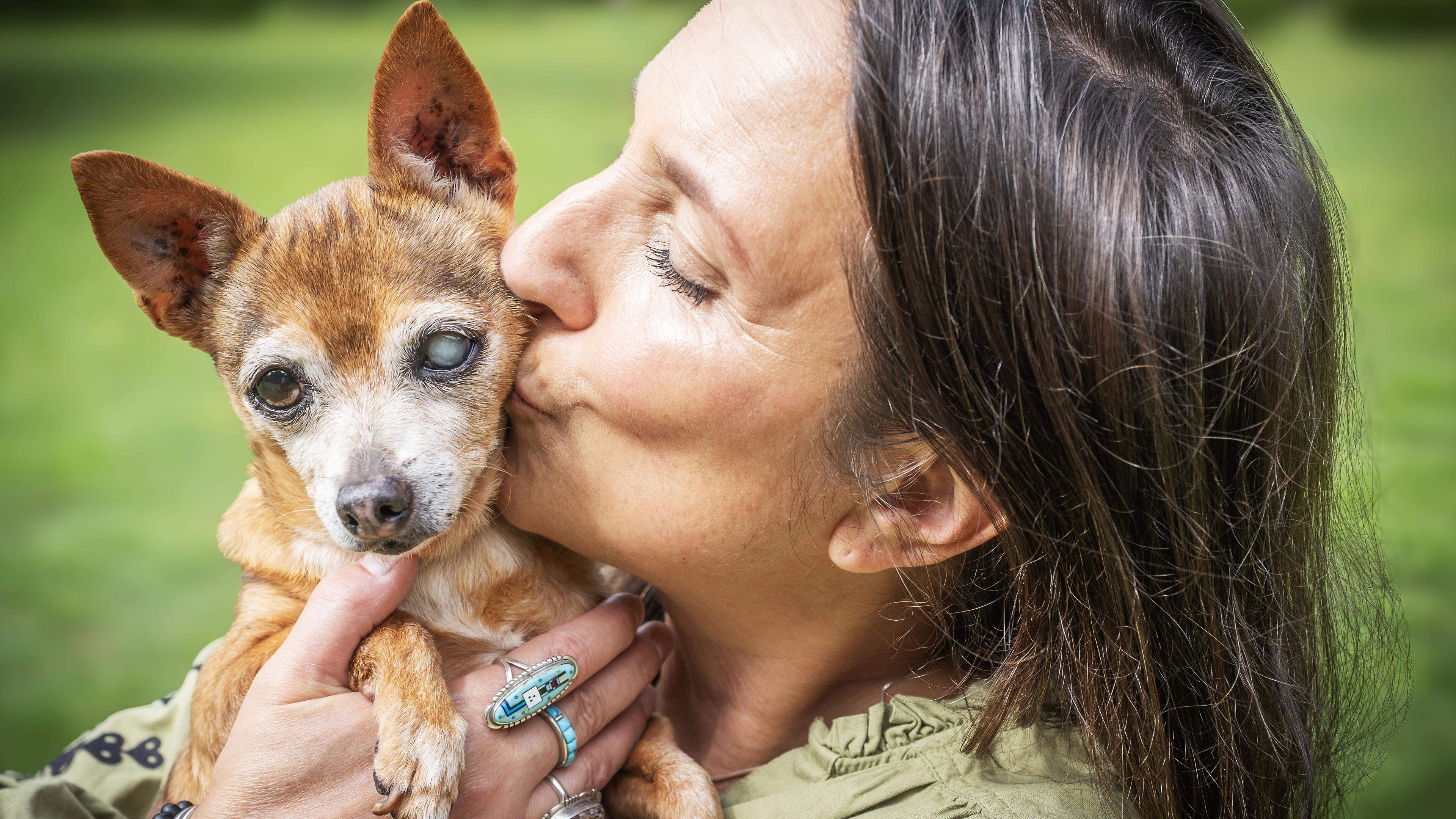 De Telegraaf on X: "Anita is dood, Sabine (51) springlevend: hoe een GTST-actrice  onder het vergrootglas uit kroop en haar hart verloor aan honden  https://t.co/dRacb46NfE" / X
